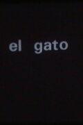 El gato