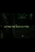 Letting the Birds Go Free