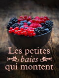 Les petites baies qui montent