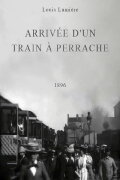 Arrival of a Train at Perrache