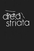 Area Striata