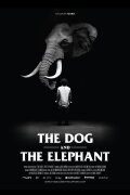 The Dog and the Elephant