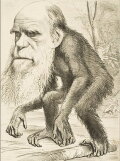 Ce que Darwin ne savait pas encore