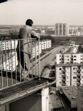 Für einen Platz an der Sonne