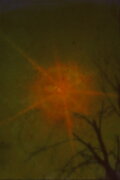 Sun Song