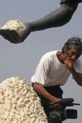 The Salt Stories