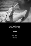 H2O