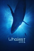 Whales and I
