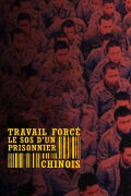 Forced Labour: SOS from a Chinese Prisoner