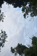 THERA