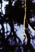 Corporeal