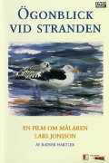 Ögonblick Vid Stranden