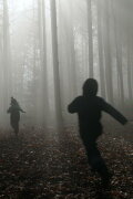 Being a Child. Exploration Among Tree Friends