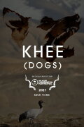 Dogs