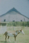 Our Landmark: My Fair Share