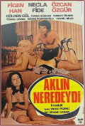 Aklın Neredeydi