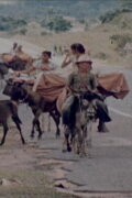 Ciganos do Nordeste