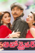 Auto Driver