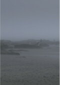 The Fog Has Covered The Moment Again