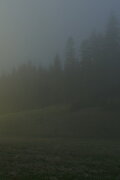 In A Beautiful And Quiet Location