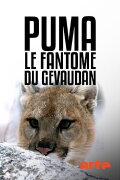 Cougar: On the Trail of the Ghost Cat