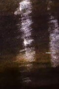 Sunlight Crying