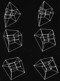 Hypercube
