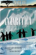 Under Antarctic Ice
