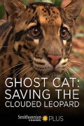 Ghost Cat: Saving the Clouded Leopard