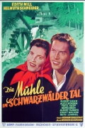 Die Mühle im Schwarzwäldertal