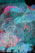 Plasforms
