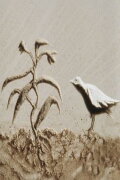 A Bird