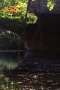 Emerald Necklace
