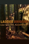 Ladder Bridges