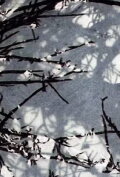 Variations sur Marilou