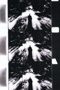 Imaginary Light