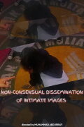 Non-consensual Dissemination of Intimate Images