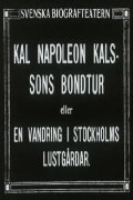 Kal Napoleon Kalsson's Stroke of Luck