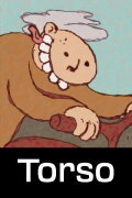 Torso