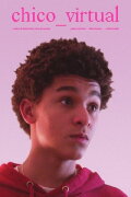 Chico Virtual