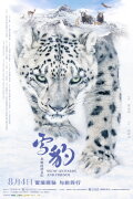 Snow Leopards and Friends