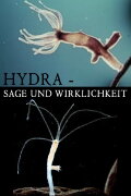 Hydra - Legend and Reality