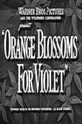 Orange Blossoms for Violet
