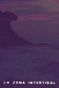 Intertidal Zone