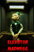 Elevator Madness