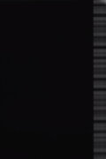 Auricon Test #2