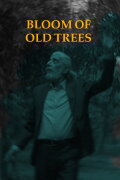 Bloom of Old Trees