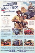 Jungle Safari
