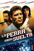 La Perra Anda Suelta