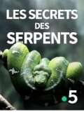 The Secrets of the Snakes
